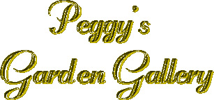 Peggy's Garden Gallery